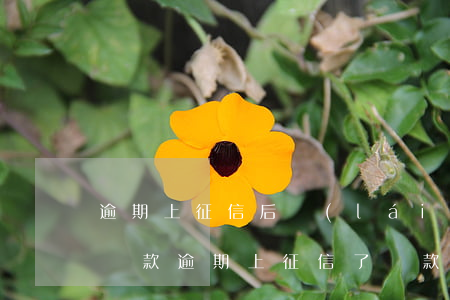 逾期上征信后來(lái)還清了還有利息 貸款逾期上征信了,還款之后會(huì)消除.啊