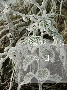 逾期上征信后如何貸款(貸款逾期上征信了怎么辦)