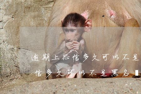 逾期上征信多久可以不是黑名單-逾期上征信多久可以不是黑名單了