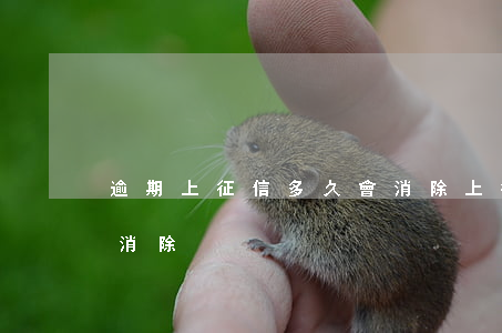 逾期上征信多久會消除(上征信逾期了多久會消除)