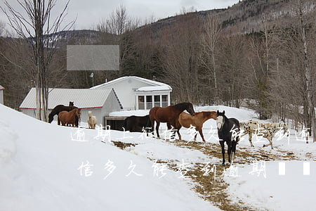 逾期上征信多久能查到逾期記錄-逾期上征信多久能查到逾期記錄呢