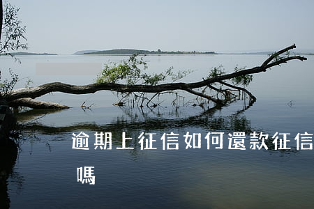 逾期上征信如何還款(征信逾期還了還能貸款嗎)
