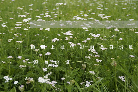 逾期上征信影响换身份证么 征信逾期异地换领身份证
