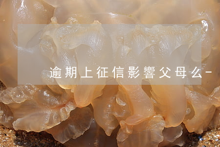 逾期上征信影響父母么-逾期影響父母嗎