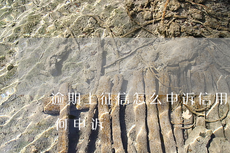 逾期上征信怎么申诉（信用卡逾期了上征信如何申诉）