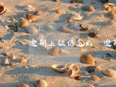 逾期上征信怎么辦（逾期被上了征信后果）