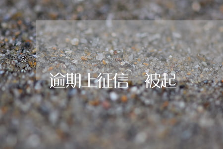 逾期上征信會被起訴嗎