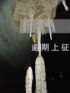 逾期上征信會被起訴嗎（征信逾期會起訴么）