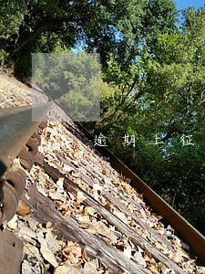 逾期上征信會被起訴(逾期會上征信嘛)