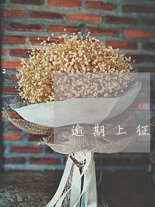逾期上征信有什么辦法（逾期上征信有什么辦法）