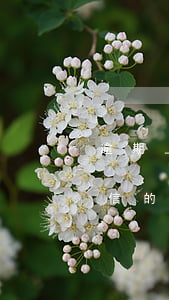 逾期上征信的不良記錄保留多久-逾期上征信的不良記錄保留多久