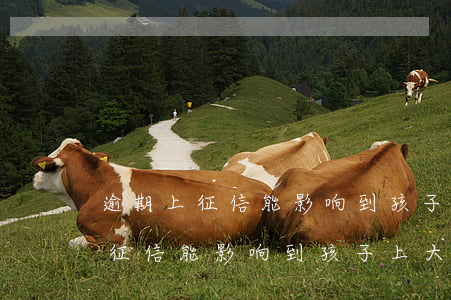 逾期上征信能影响到孩子上大学吗-逾期上征信能影响到孩子上大学吗知乎