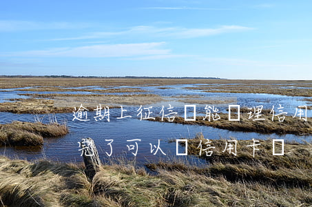 逾期上征信還能辦理信用卡嗎(征信有逾期還完了可以辦信用卡嗎)