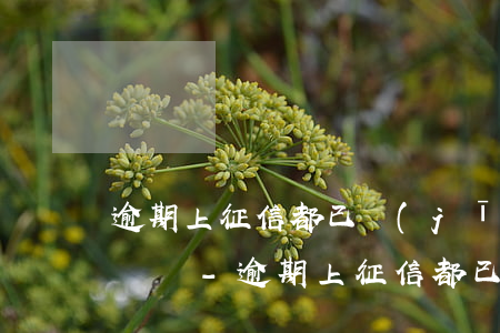 逾期上征信都已經(jīng)還清可以撤銷嗎-逾期上征信都已經(jīng)還清可以撤銷嗎怎么辦