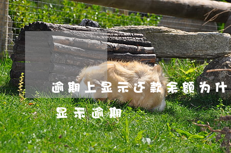 逾期上显示还款余额(为什么贷款钱都还了还显示逾期)