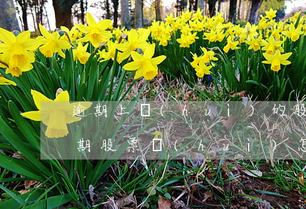 逾期上會(huì)的股票(債務(wù)逾期股票會(huì)怎樣)