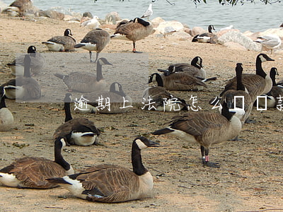 逾期上法院怎么說 貸款逾期上法庭怎么辦