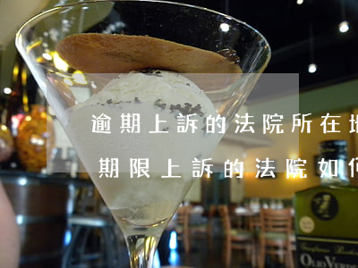 逾期上訴的法院所在地(超過(guò)上訴期限上訴的法院如何處理)