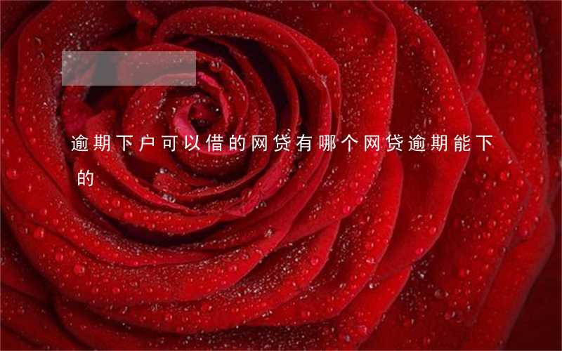 逾期下户可以借的网贷(有哪个网贷逾期能下的)