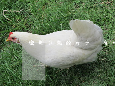 逾期下款的口子誰有（口子逾期吧）