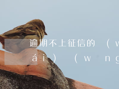 逾期不上征信的網(wǎng)貸平臺(tái)(網(wǎng)貸只要不逾期就不上征信)
