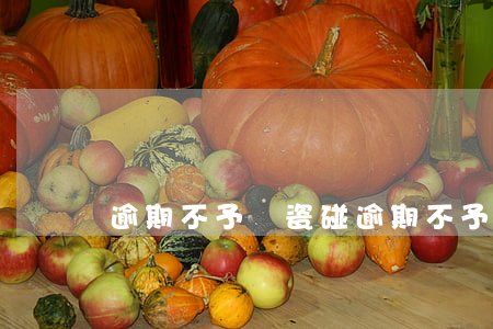 逾期不予爛瓷碰(逾期不予爛瓷碰)