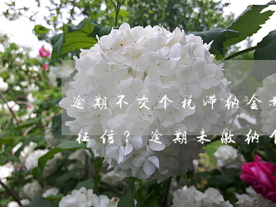 逾期不交个税滞纳金影响征信吗，是否会影响征信？逾期未缴纳个税将产生滞纳金