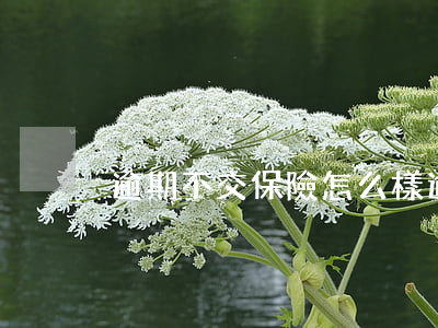 逾期不交保險怎么樣(逾期未交保險)