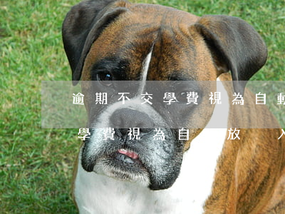 逾期不交學費視為自動放棄入學-逾期不交學費視為自動放棄入學嗎