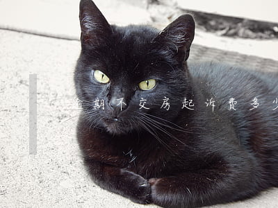 逾期不交房起诉费多少钱(交房延期起诉费)