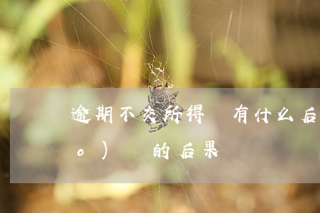 逾期不交所得稅有什么后果(逾期不報(bào)稅的后果)