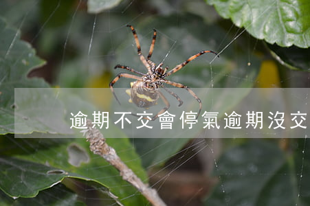 逾期不交會停氣(逾期沒交水費會停水嗎)