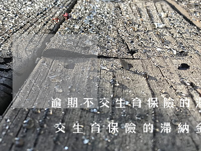 逾期不交生育保險的滯納金如何收-逾期不交生育保險的滯納金如何收取
