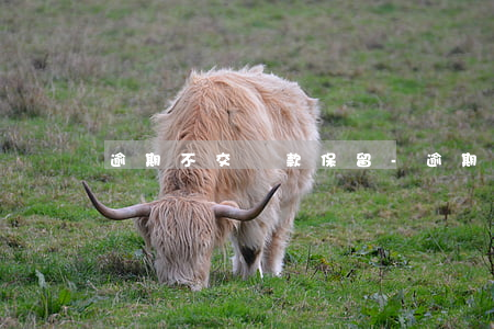 逾期不交罰款保留-逾期不交罰款保留多久