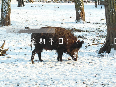 逾期不來(lái)辦理的通過(guò)法律-不是故意逾期能申請(qǐng)消除嗎