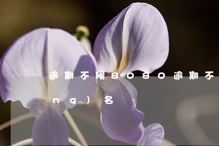 逾期不候8080(逾期不候的情侶網(wǎng)名)