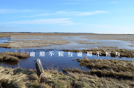 逾期不候互(逾期不候互)