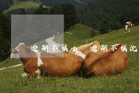 逾期不候 小說（逾期不候沈社珍）
