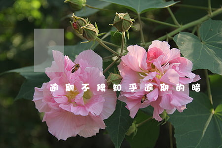 逾期不候知乎(逾期的暗戀 知乎)