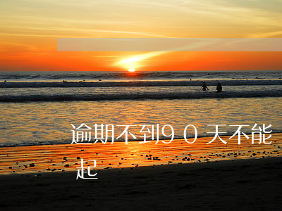 逾期不到90天不能訴訟嗎（逾期未達90天起訴）