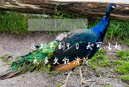 逾期不到90天可以起訴嗎-逾期不到90天多久能消除