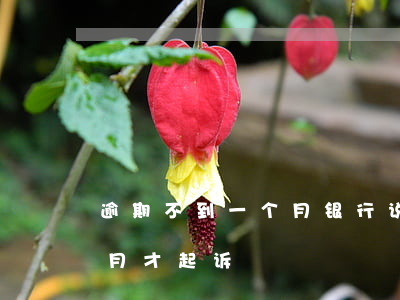 逾期不到一个月银行说要起诉(银行逾期几个月才起诉)