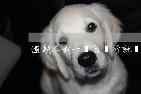 逾期不到一個月銀行就說起訴