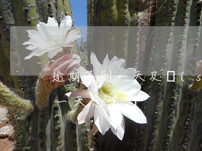 逾期不到一天及時(shí)還款(貸款逾期一天怎么還)