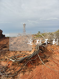 逾期不到一年征信(征信逾期一年以上還完)