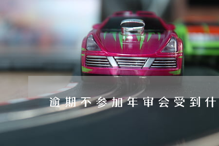 逾期不参加年审会受到什么惩罚-