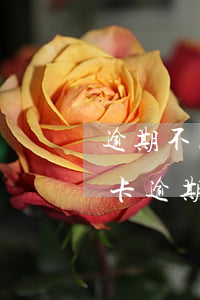 逾期不同意協(xié)商還款怎么辦（信用卡逾期無(wú)法還款如何協(xié)商還款）