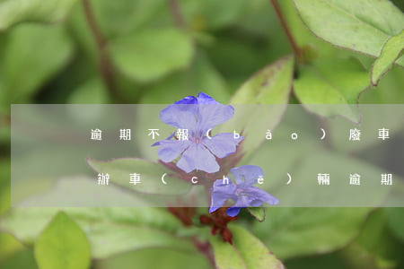 逾期不報(bào)廢車(chē)輛怎么辦(車(chē)輛逾期報(bào)廢了,但車(chē)輛已不在了怎么辦)