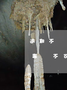逾期不報視為沒有，逾期未報即視同放棄：重要事項不可忽視