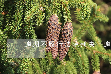 逾期不履行法院判决-逾期履行生效判决